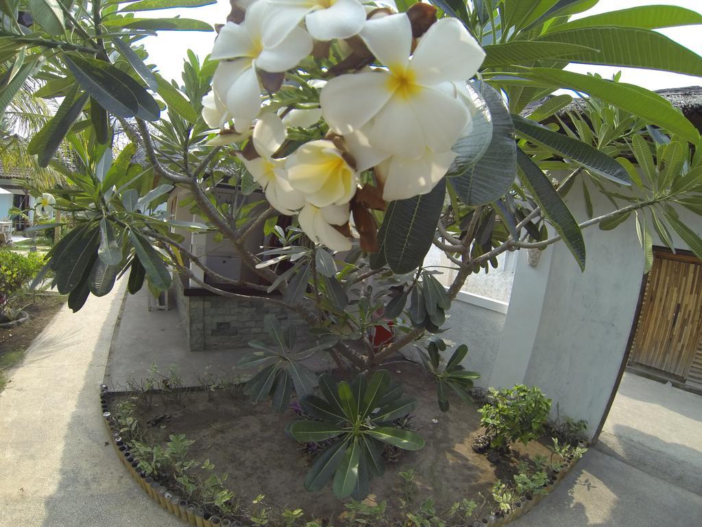 Casus Dream Hotel Gili Trawangan Exterior photo